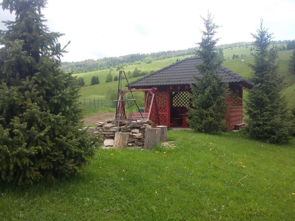 Winter & Summer - Chalets Ždiar Exteriör bild