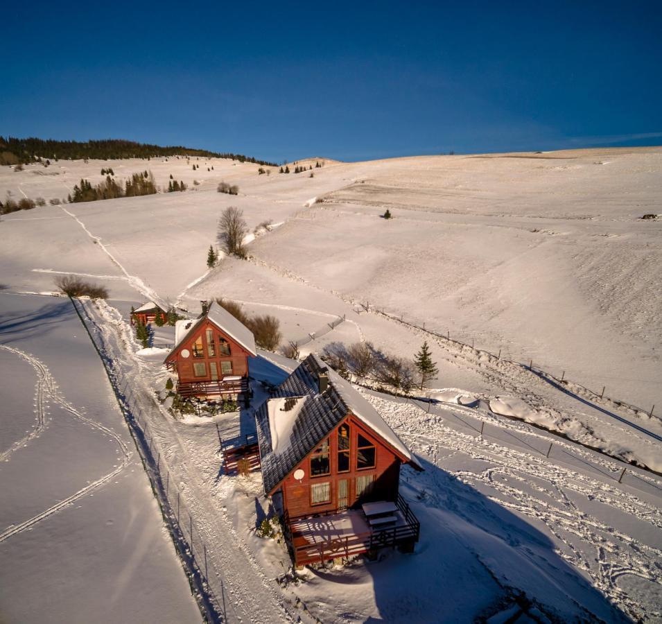 Winter & Summer - Chalets Ždiar Exteriör bild